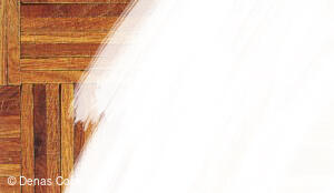 DENAS COLOR, a.s. - 51